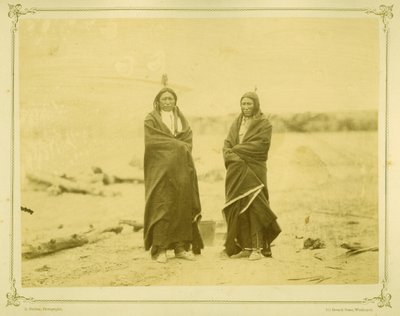 Spotted Tail und Fast Bear, 1868 (Albuminabzug) von Alexander Gardner